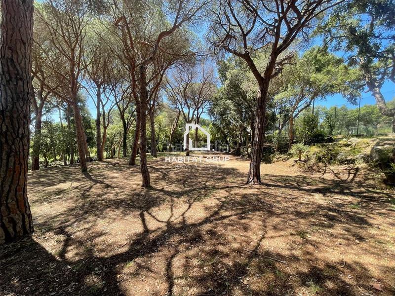 Foto 97fda64b-d7b6-40bd-b1c1-b2083a43799a. Casa 3 parcelas en platja daro en Los Pinos-Politur Platja d´Aro