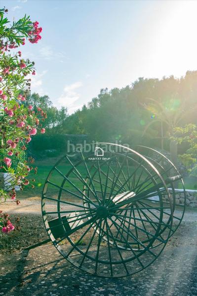 Foto 9db4fcd9-e564-4a1d-a1c4-813280681957. Casa finca rústica en mahón en Alaior poble Alaior