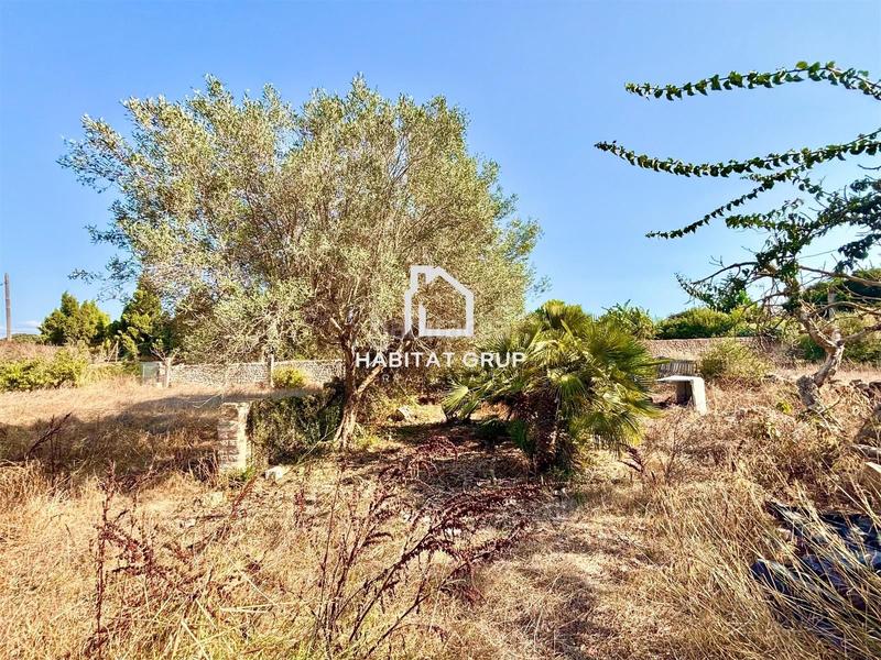Foto b9dcb440-1d55-47b5-9ff0-c351fcb4cd17. Finca rústica  en Ciutadella Ciutadella de Menorca