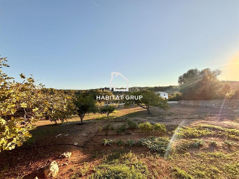 Foto 399a4b59-aa8f-480f-b878-4d3b785627bb. Haus mit parking pool in Alaior poble Alaior