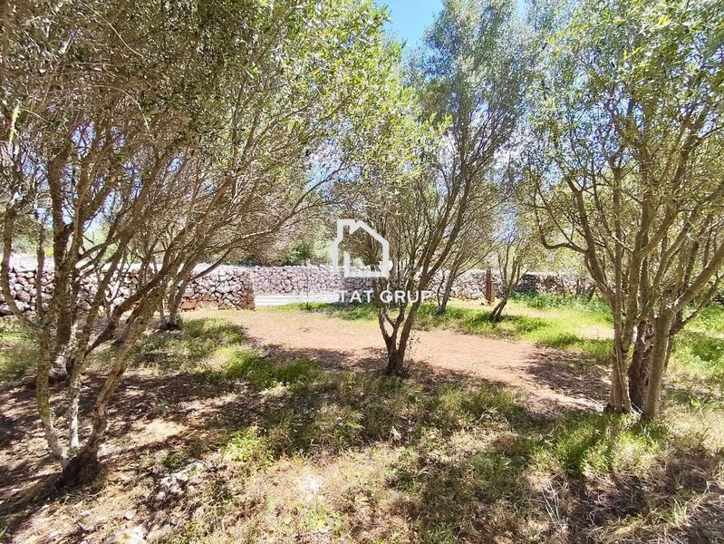 Foto c5bda3a6-a357-496a-a938-e9b78facdeac. Casa a Sant Lluís-s´ullestrar-torret Sant Lluís