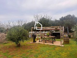 Finca rústica en Sant Climent-Es Canutells. Casa rural en mahón