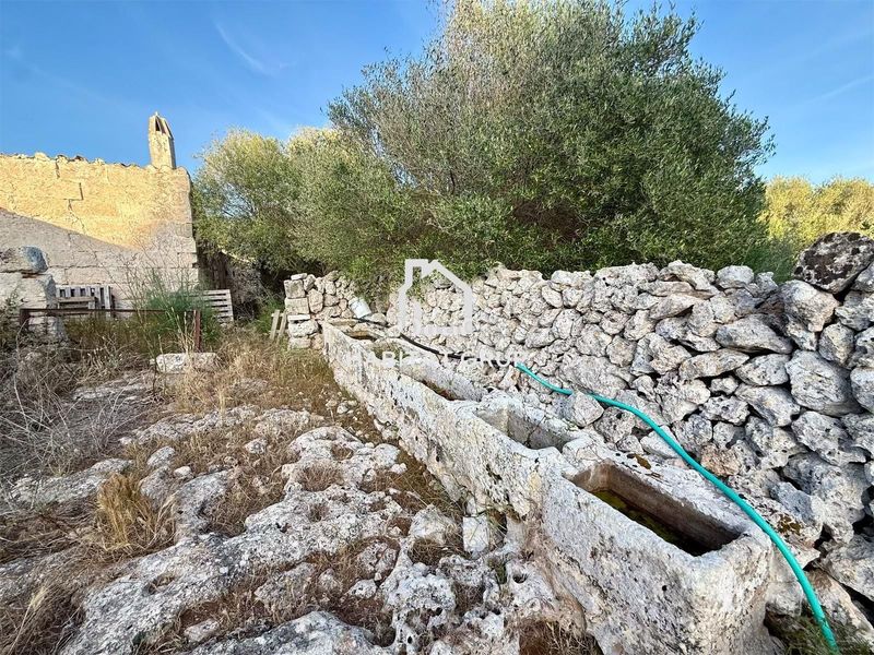 Foto a9a79a04-4e28-499e-93ed-e36397d6d820. Finca rústica a Sant Lluís-s´ullestrar-torret Sant Lluís