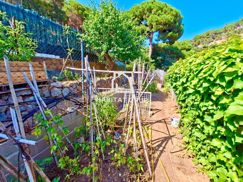 Foto f227ab04-0420-4929-bc1a-deb2481704de. Casa amb calefacció piscina a Canyelles Lloret de Mar