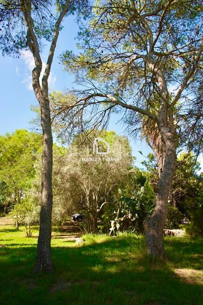 Foto 744d0a31-6283-4730-863d-2551c3a58f67. Casa amb calefacció piscina a Es Grau-Serra Morena Maó / Mahón
