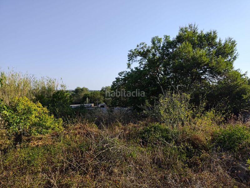 Foto 6f242bc9-866d-4a73-81d0-f29fef1acee6. Casa a Sant Lluís-s´ullestrar-torret Sant Lluís