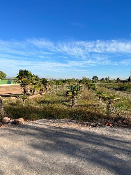 Foto 27adeefa-176d-4f70-bf94-64c731635173. Landgut in playas de Puçol Puçol