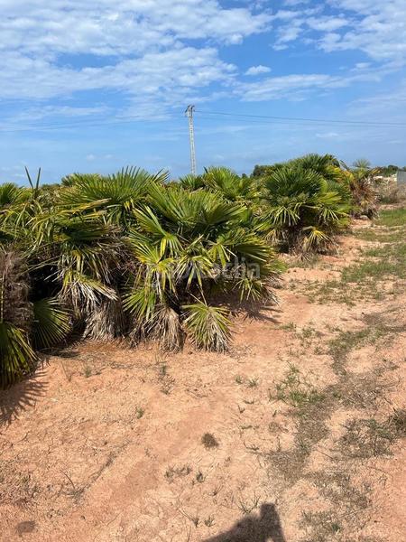 Foto 53a92ccd-03d3-4860-bd0d-3828e4197e78. Landgut in playas de Puçol Puçol