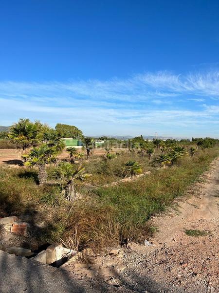 Foto 7d8e258e-c96a-428e-83de-58a39f7329c9. Landgut in playas de Puçol Puçol