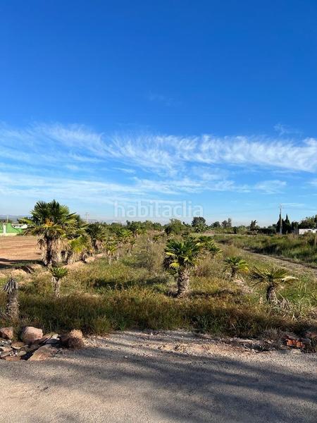 Foto af24add3-d6db-4e3a-aa78-67e149b79840. Landgut in playas de Puçol Puçol