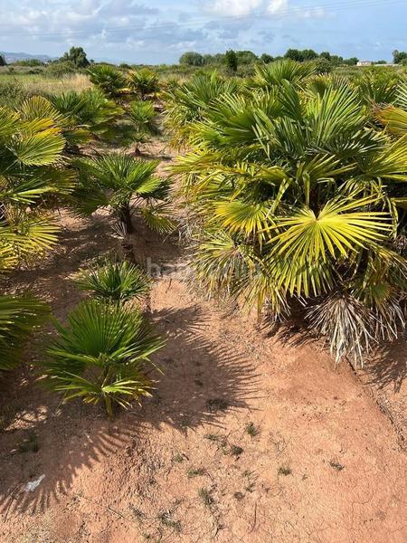 Foto 27d5188e-ba5f-46aa-a8b0-e05d5b3caa6e. Landgut in playas de Puçol Puçol