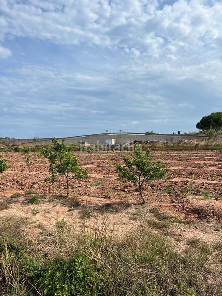 Foto ac926030-347e-4fd9-990f-ef6722f6e208. Landgut in playas de Puçol Puçol