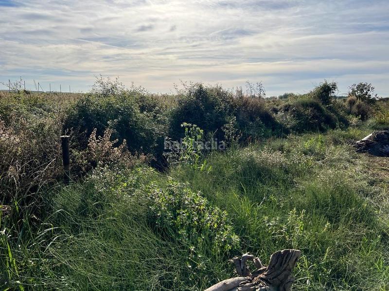 Foto 032e765e-92c2-42b2-a9f2-c7df32cc7ecf. Landgut in playas de Puçol Puçol