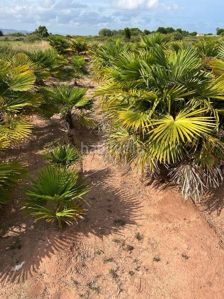 Foto 5d7f891d-e86d-4f84-8f39-61afc6610e00. Landgut in playas de Puçol Puçol