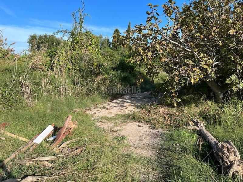 Foto 89ccf0c1-36d5-4be6-8a31-0735d3184083. Landgut in playas de Puçol Puçol