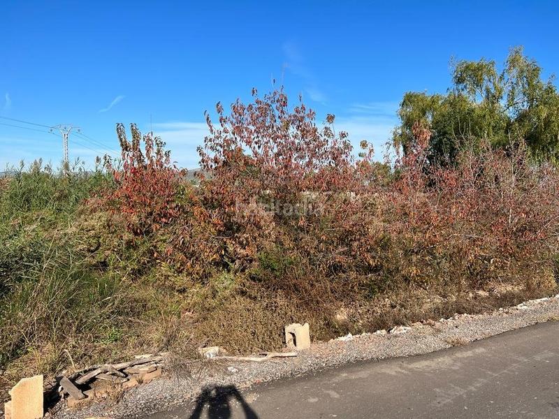 Foto 398b3d40-310d-4bcc-a954-23f310dfdcbc. Landgut in playas de Puçol Puçol