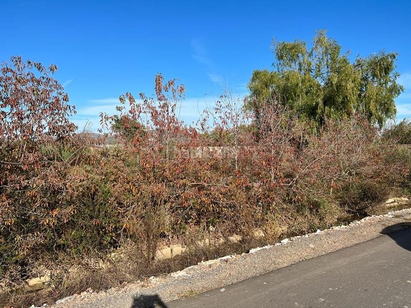 Foto 576699dd-698d-4668-a151-72b2012d9a02. Landgut in playas de Puçol Puçol