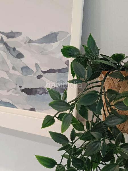Foto 7286ae42-2b3c-4891-8890-1d6691bbf9ef. Location appartement dans Puçol ciudad Puçol