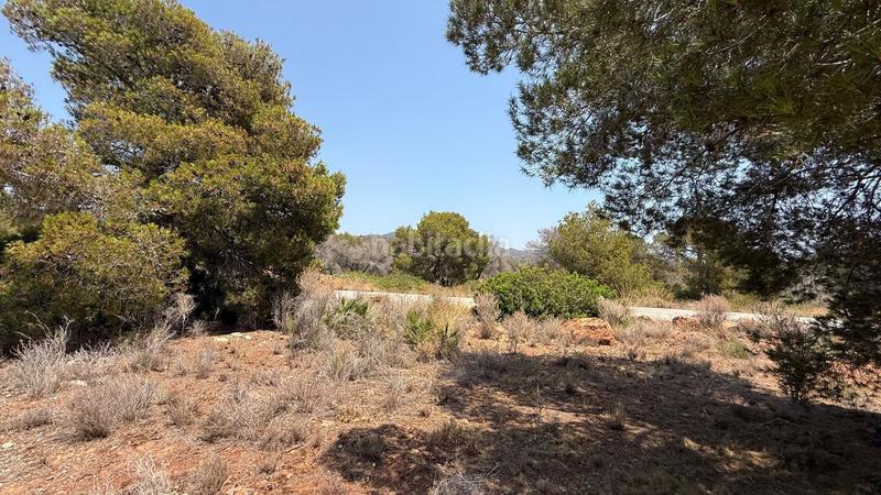 Foto c6cc98b1-bcef-4deb-8799-d8f869391f03. Fondo rustico in Doctor Palos - Alto Palancia Sagunt