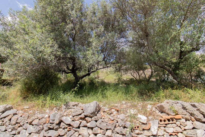 Foto a2a6c52c-8c50-4e28-8bb2-4585243456f7. Masia a Sumacàrcer