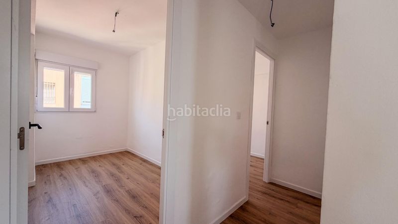 Foto af77cb79-d989-482a-8714-c5aef0bc743f. Pis a Albal