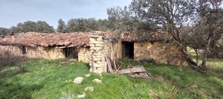 Rural plot in Cuv-9142 10