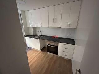 Pis  Barcelona - calle de l estadella. Piso reformado a estrenar con 2 dormitorios y reforma integral e