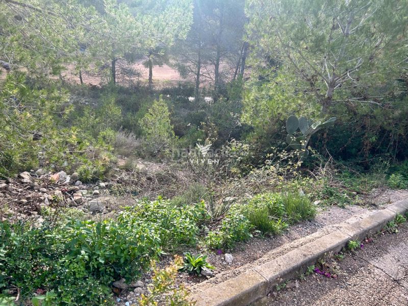 Foto 0dff221f-9ede-4a2e-91fc-979e15ae98b7. Terreno residencial en carrer extremadura 21 venta de terreno urbano en Canyelles