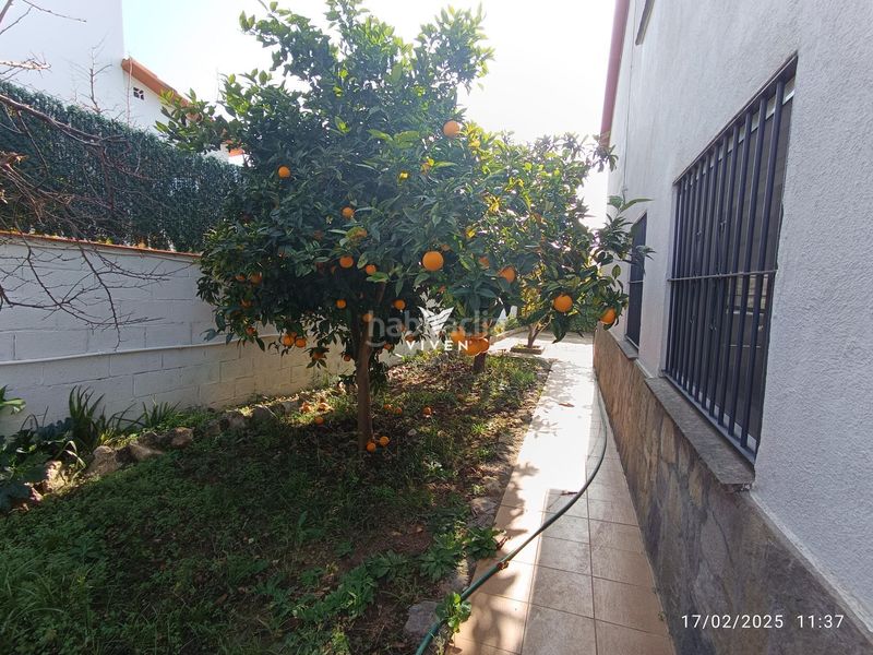 Foto 045ca902-6cd6-4cc0-8756-34f307c18aa8. Casa amb calefacció piscina a Mas Alba Sant Pere de Ribes