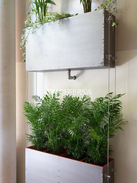 Foto fbd2f007-520b-4b99-a98d-b8e202ca2263. Planta baixa amb calefacció a Sagrada Família Barcelona