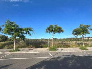 Terreny residencial  Calle antoni deu font