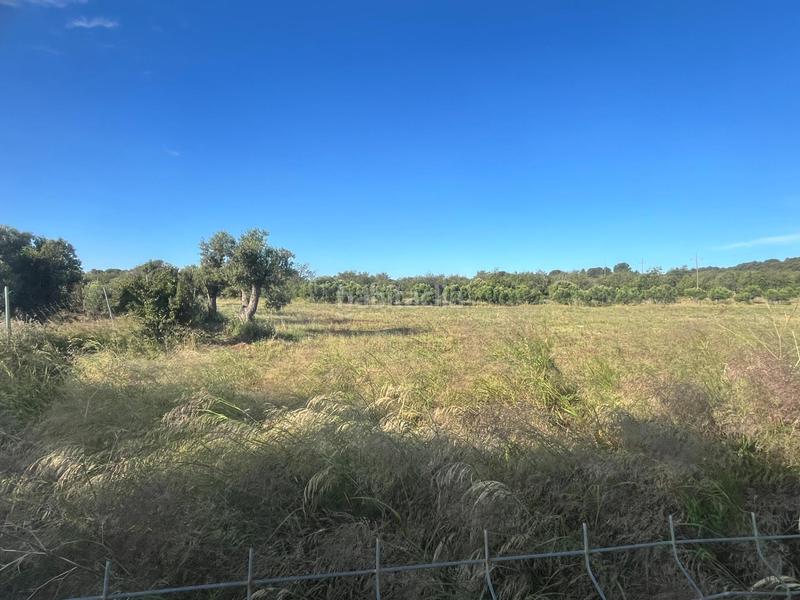 Foto 8485ad30-24d9-498f-81ad-ced02bb9dc99. Terrain résidentiel dans El Tancat-Mas d´en Gual Vendrell (El)