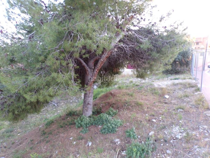 Foto e9fe5034-478c-40e8-b3f9-7062525eea7d. Wohngrundstück in Roda de Barà