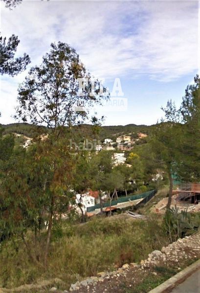 Foto 481481a6-2bf3-4c74-b122-522e4d4ff131. Finca rústica a Mas Trader-Corral d´En Tort-Corral d´En Cona Cubelles