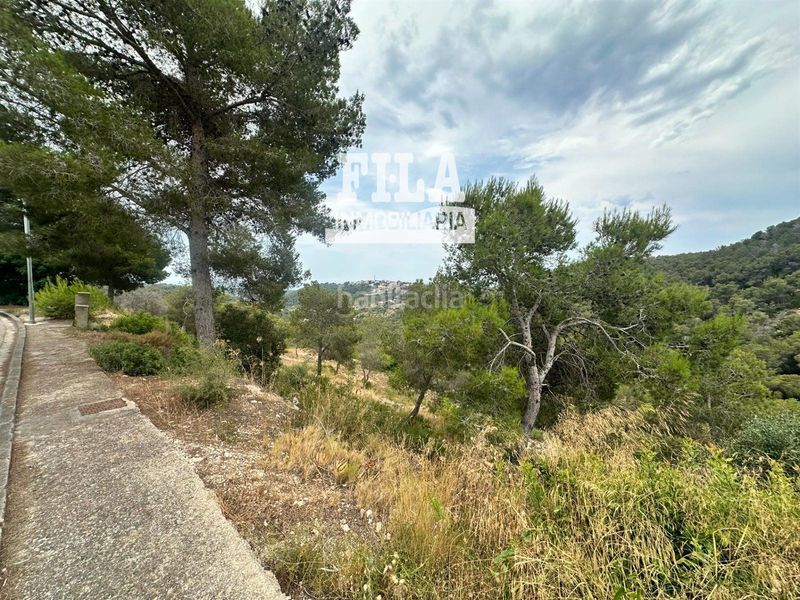 Foto aeae34f0-435c-446f-9577-07c2a5318e6d. Finca rústica a Castellet i la Gornal