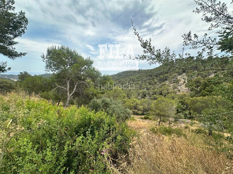Foto d9e1ed60-cce2-49ba-b130-c0e0adfed22f. Finca rústica a Castellet i la Gornal