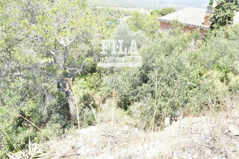 Foto 3544acfa-7fd3-473c-a805-f84645cd5ac8. Finca rústica a Bisbal del Penedès (La)