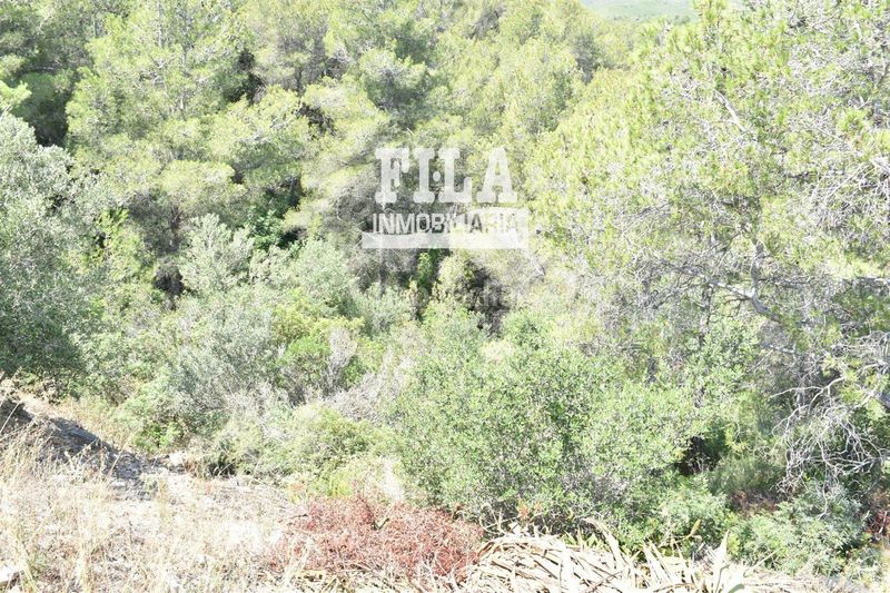 Foto c8fd38a6-9e86-4a45-a2ad-0bed2611b75f. Finca rústica a Bisbal del Penedès (La)