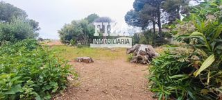 Finca rústica a Segur de Calafell Nucli Urbà