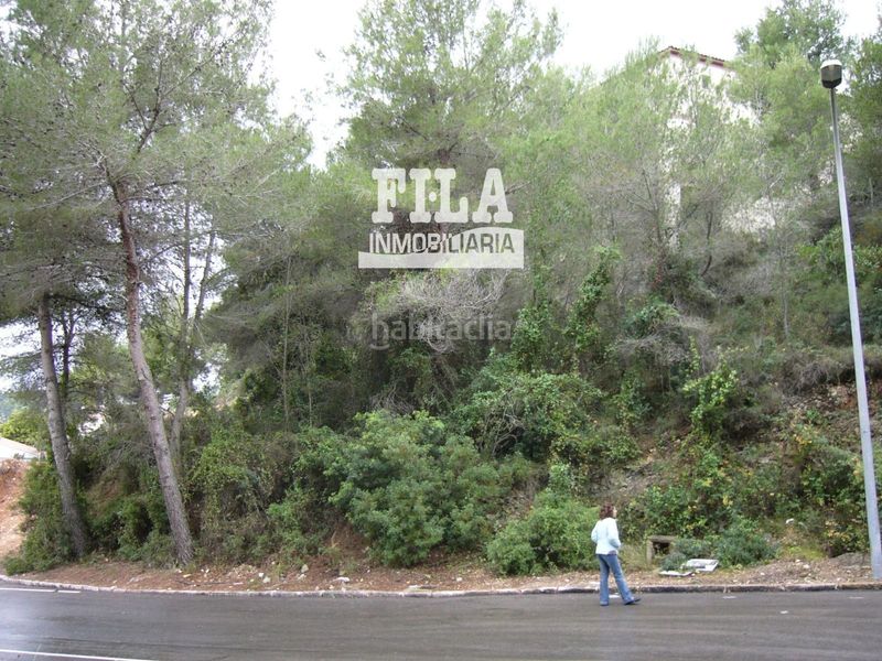 Foto e334e53d-fdc1-4daf-9adb-1b0cf4351974. Finca rústica a costa Cunit - els jardins - els rosers Cunit