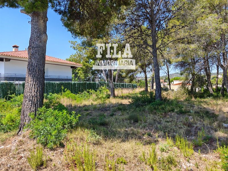 Foto 07f7ecee-0811-4dcc-b798-808a21b7897f. Finca rústica a Cunit residencial Cunit
