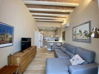 Location Appartement  Anselm clavé. Fabuloso piso recién reformado y amueblado en el centro de olesa