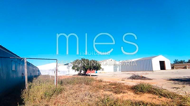 Foto 9b2ea813-caf7-40c1-b75a-a0d497e50f5b. Capannone industriale in partida del coscollar 0 in Aldaia