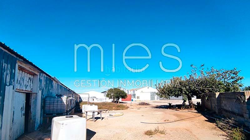 Foto c1447f77-d6ed-490f-83c0-1a6d80efc18b. Capannone industriale in partida del coscollar 0 in Aldaia