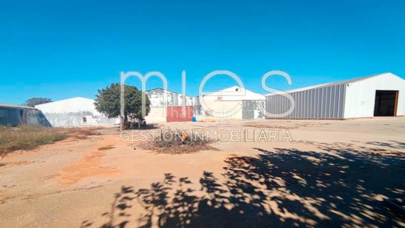 Foto c1626130-4eed-4c5f-b9d7-96848724ed3c. Capannone industriale in partida del coscollar 0 in Aldaia