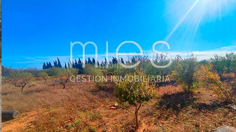 Foto d6f5971f-a29a-4892-89f7-15957931256a. Capannone industriale in partida del coscollar 0 in Aldaia