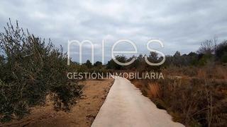 Finca rústica a Cana murta 0. Terreno  plantado de olivos