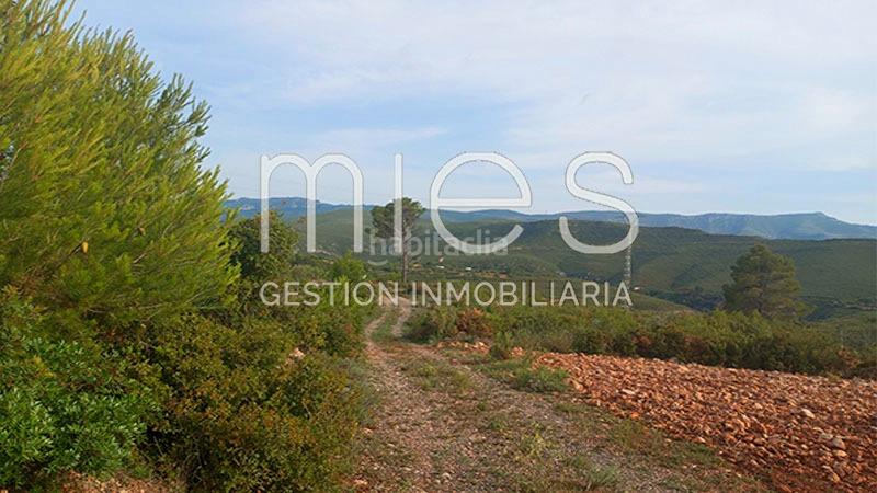 Foto 27876289-9228-41f5-a896-4f1721c13cde. Bauernhof in cañada del pinar 0 in Macastre