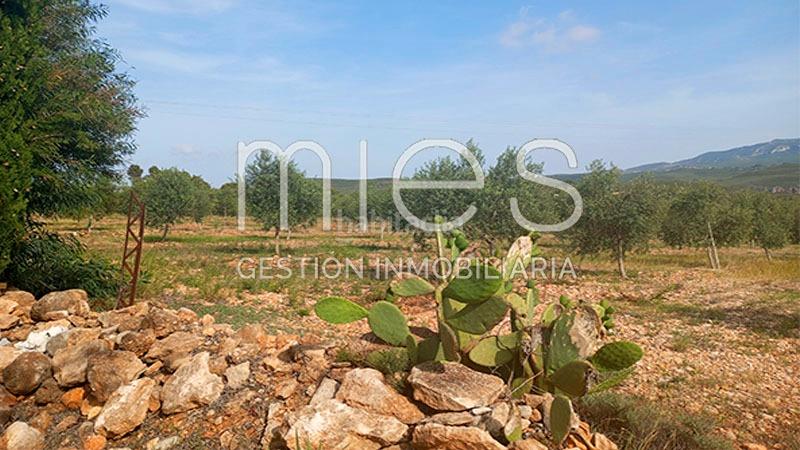 Foto 3fb93b35-cbad-401e-b23c-287e8ca9d50d. Bauernhof in cañada del pinar 0 in Macastre