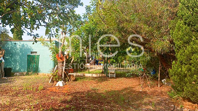 Foto 63f87280-8eea-4d6d-ab5c-33bb61cdbabc. Bauernhof in cañada del pinar 0 in Macastre